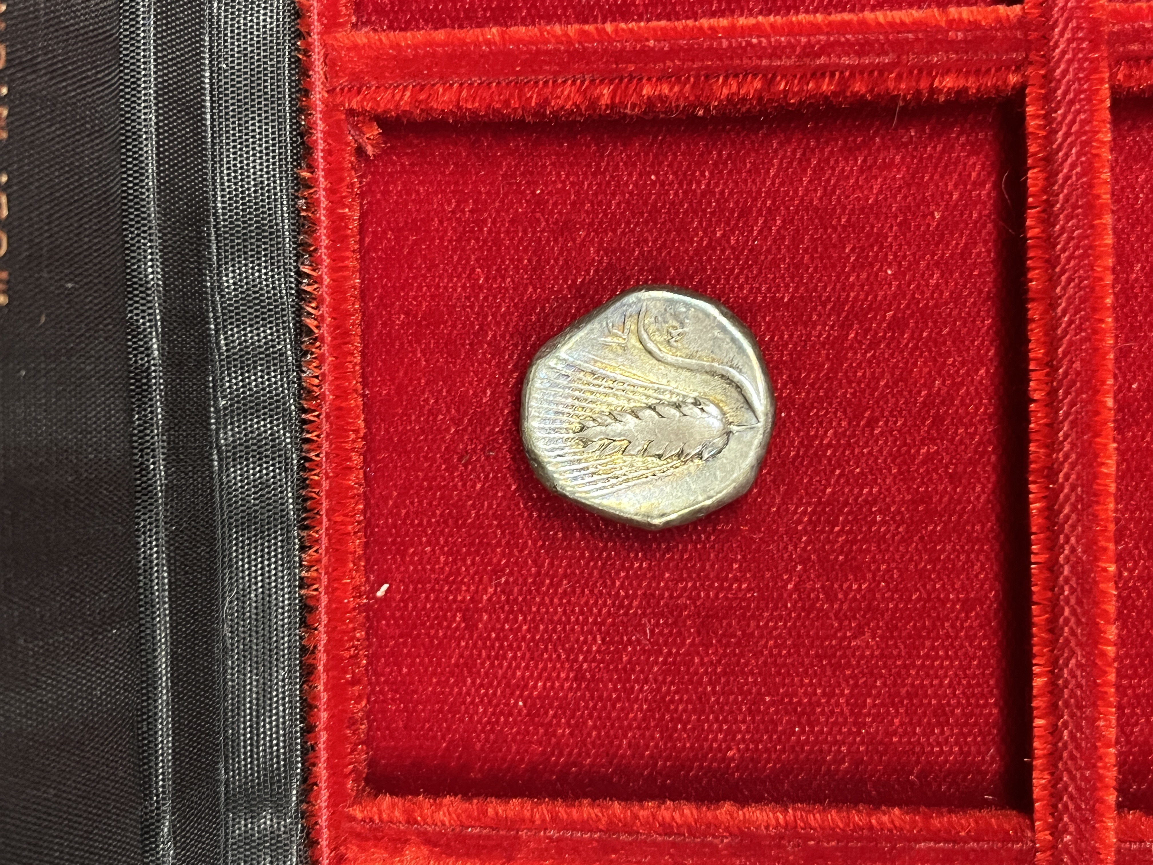 Stater of Metapontum with ear of barley